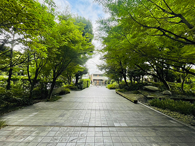 グリーンウォーク｜ファミールグラン高井戸デュープレックス