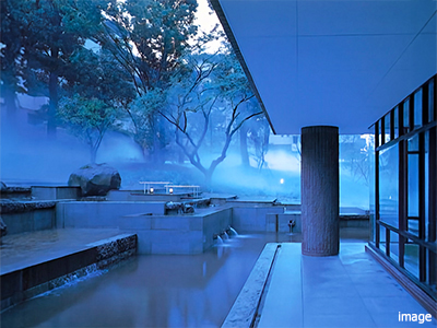 霧に包まれた四季の森ガーデン｜ファミールグラン高井戸デュープレックス