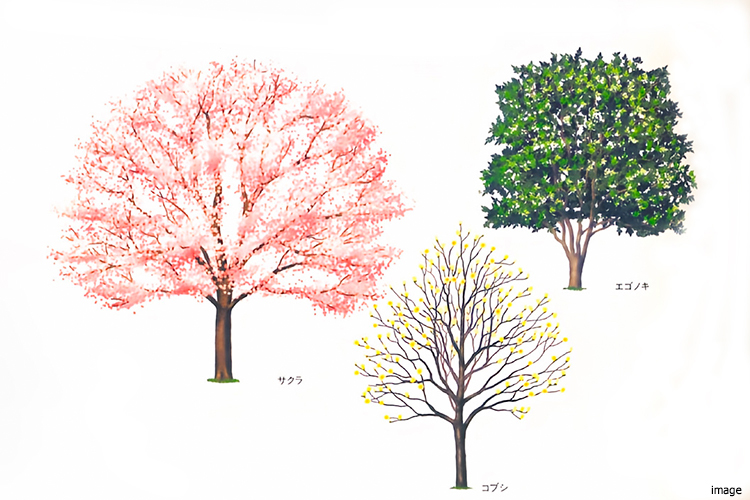 春の植栽イメージイラスト｜ファミールグラン高井戸デュープレックス