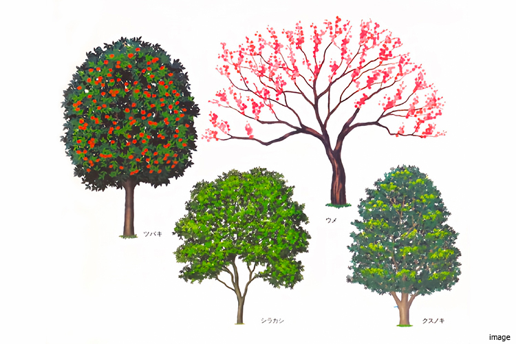 冬の植栽イメージイラスト｜ファミールグラン高井戸デュープレックス