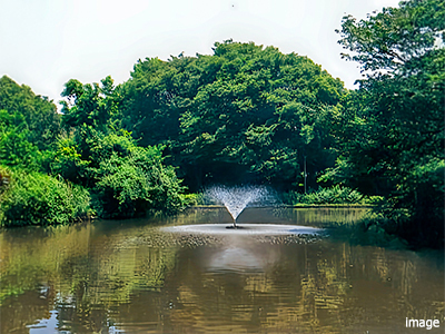 和田堀公園｜ファミールグラン高井戸デュープレックス