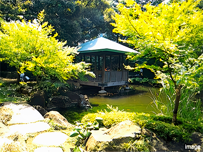 大田黒公園｜ファミールグラン高井戸デュープレックス